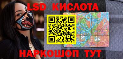 стаф Донецк