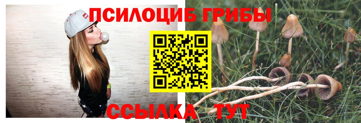 купить   Вход с VPN  Псилоцибиновые грибы MAGIC MUSHROOMS  Лангепас  Псилоцибиновые грибы GOLDEN TEACHER 